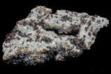 Sphalerite Cluster on Sparkling Dolomite - Elmwood Mine #89700-2